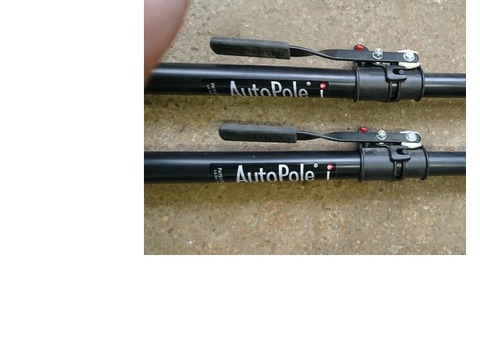 Autopole