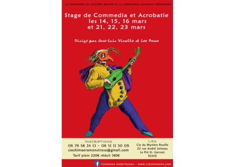 STAGE COMMEDIA ET ACCROBATIE